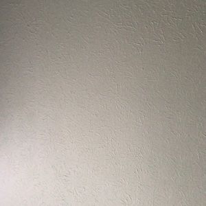 Meet your Posher, Laney